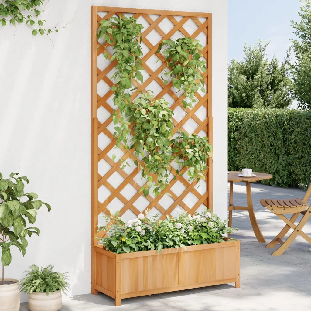 Fioriera con Traliccio Marrone 90x35x180 cm in Massello di Abete 365479