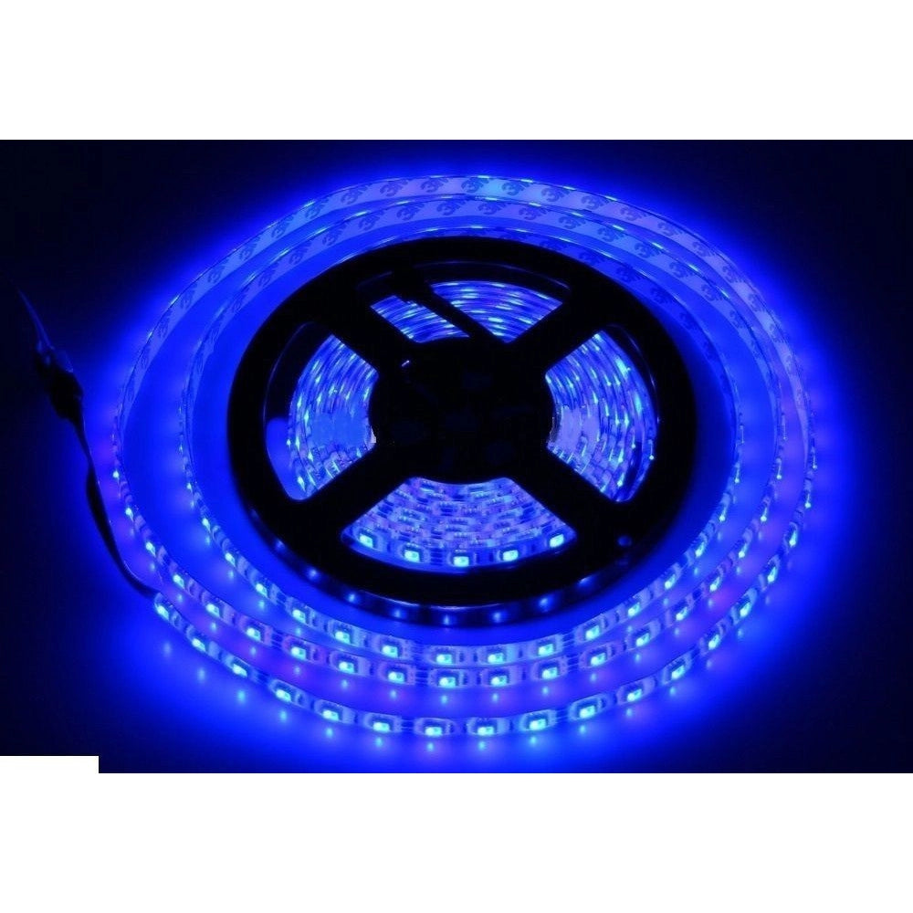 Trade Shop - Bobina Striscia Led 5050 Flessibile 5 Mt Adesiva Luce Interno Esterno Ip65 Strip - -blu      -