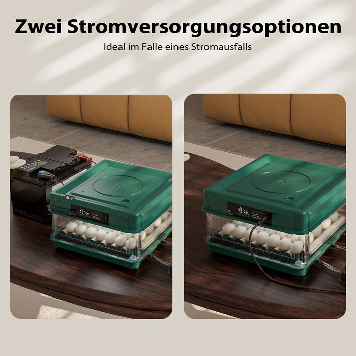 Fudajo Incubatrice di superficie completamente automatica 48 uova Covatrice polli, anatre, pulcini