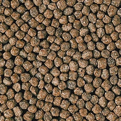 Hikari Goldfish Staple Baby Pellet - mangime galleggiante per persci rossi e piccole carpe Koi Formato: 100 gr