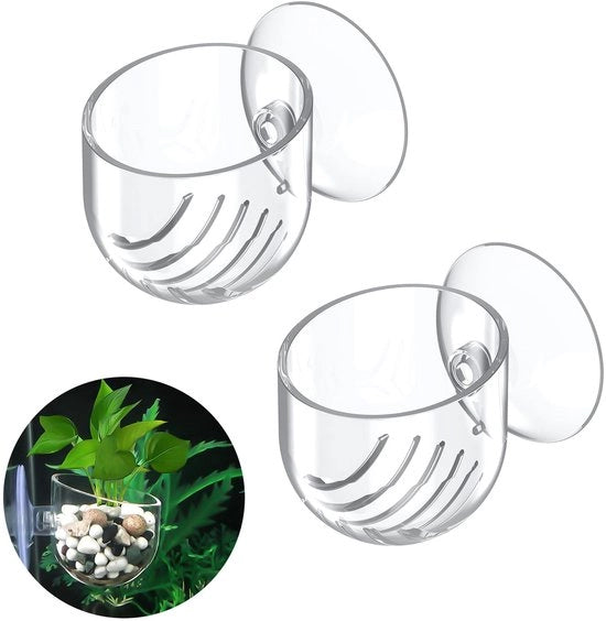 Due contenitori di pianta in plastica trasparente per acquario con presa magnetica, inclusi vermi di terra per Aquascape decor.