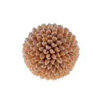 Set 2 Sfere di Conchiglie Annulus H 10 cm