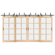 Kit di Binari per Porte Scorrevoli 427 cm Acciaio Nero