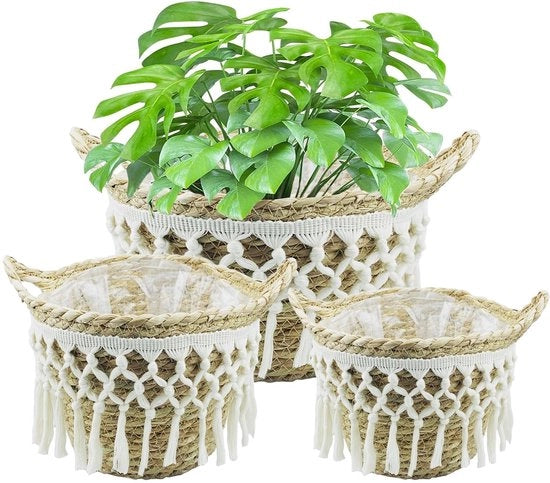 Set di 3 pantaloni di alghe marine artigianali - multifunzionali - materiale naturale