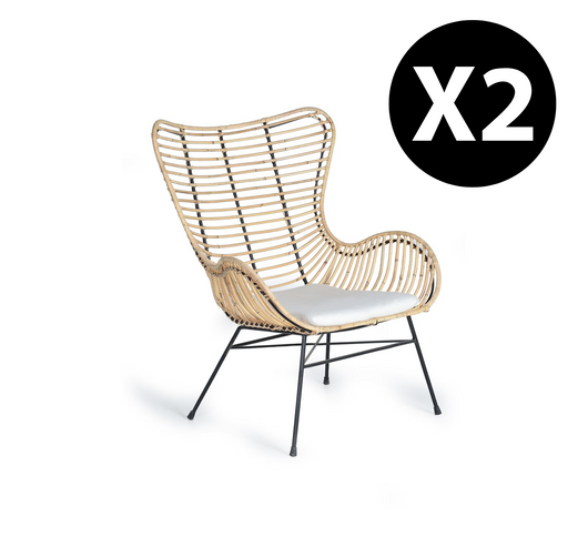 Set 2 sedie in rattan e metallo