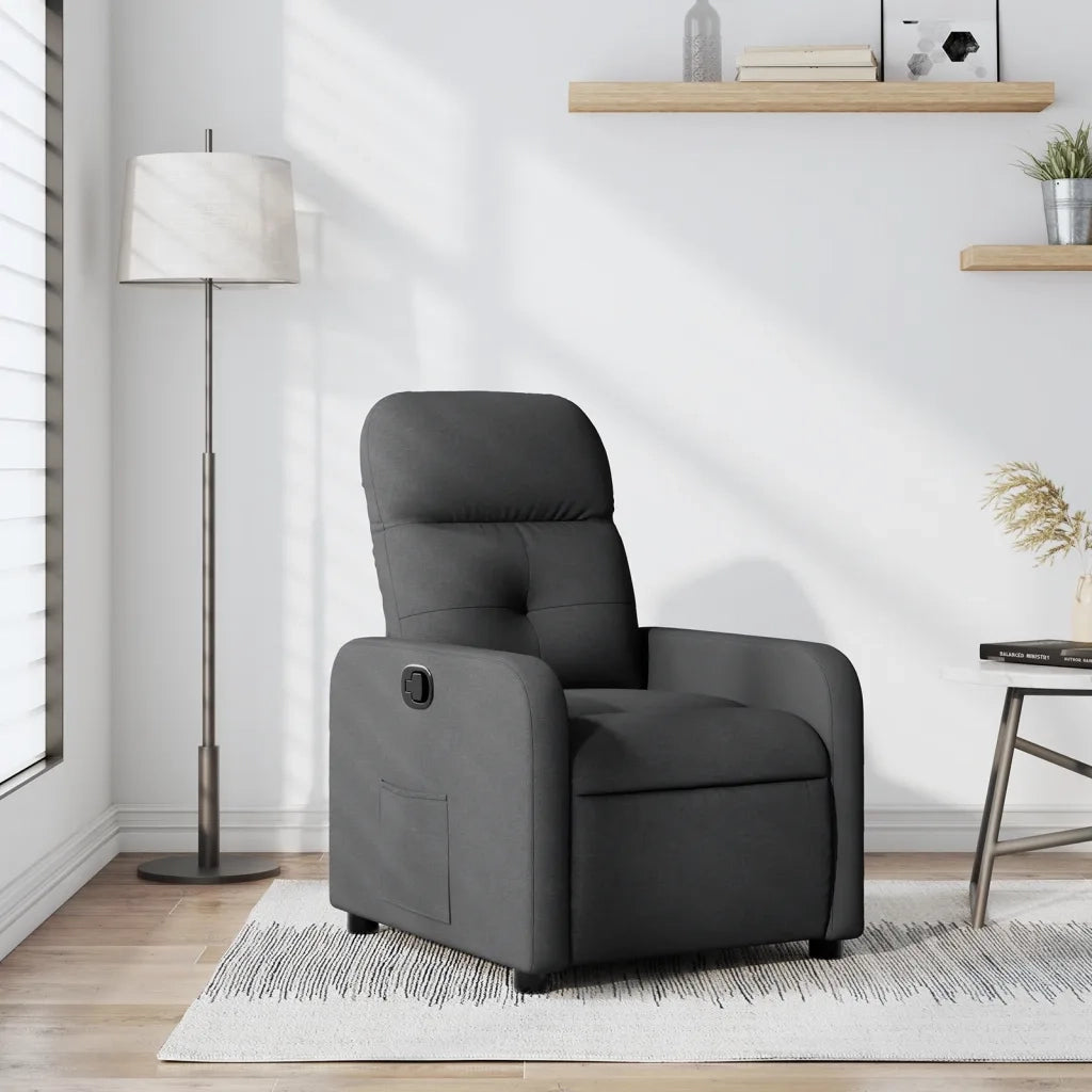 Divano Sedia-Poltrona Reclinabile in Tessuto Grigio Scuro 224337