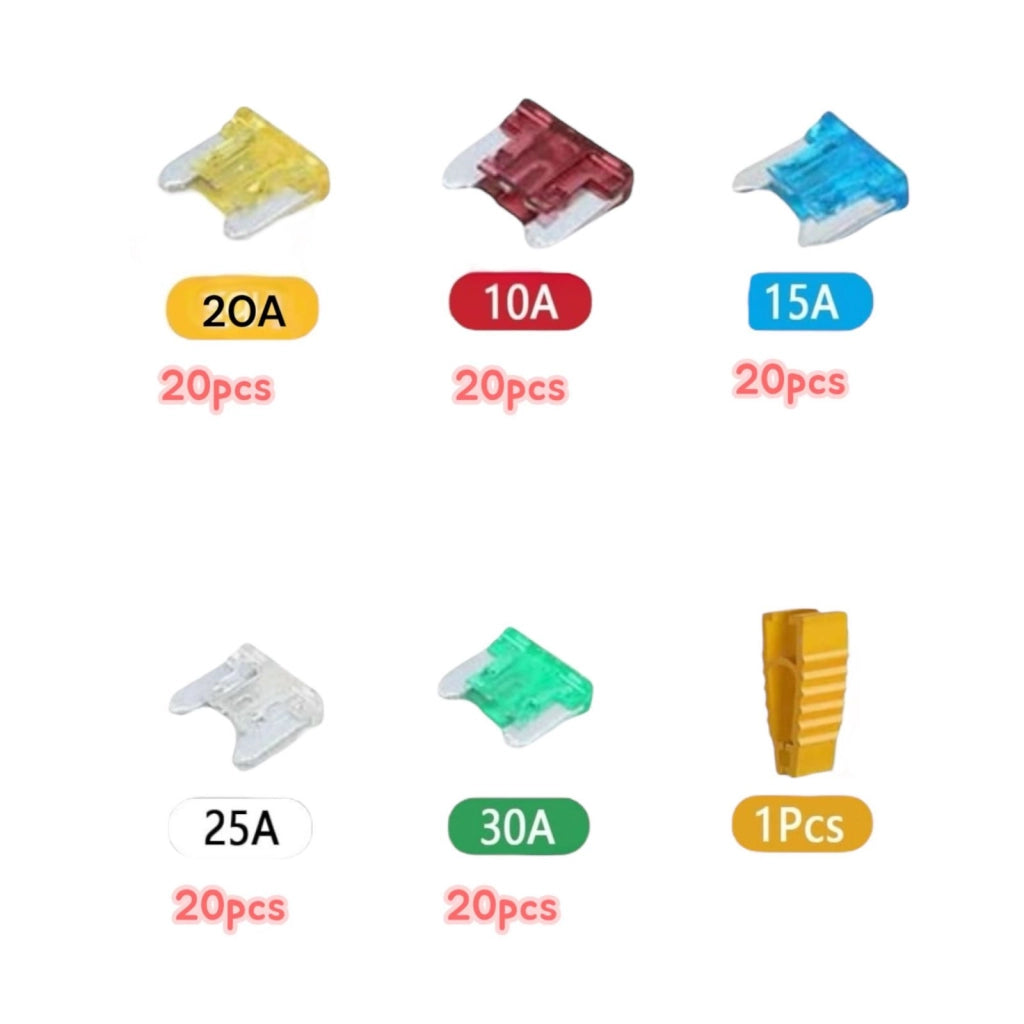 Set 100pz Fusibili Auto 10A 15A 20A 25A 30A Kit Fusibili Standard per Auto, Moto, Camion, Camper, Caravan