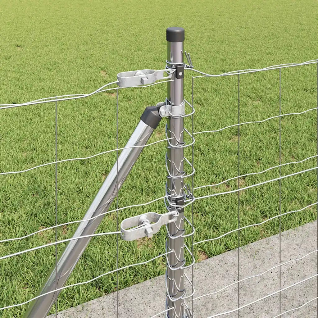 Recinzione con Posto Argento 0,6 x 25 m Acciaio