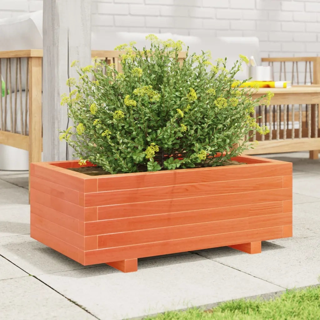 Fioriera Giardino-Vaso da Esterno-Contenitore per Piante Marrone Cera 70x40x26,5cm Legno Massello Pino