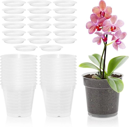 Pannelli di propagazione per orchidee - Pannelli di crescita con sottopiano - 20 pezzi - Plastica - 11,5 cm