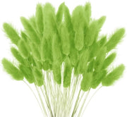 Decorazione per Casa con Pampas Secchi - Bocciolo Decorativo Boho - Piantine Fluffy Verde - Arrangiamenti di Fiori - Decorazione Naturale - 120 Pezzi.