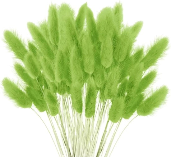 Decorazione per Casa con Pampas Secchi - Bocciolo Decorativo Boho - Piantine Fluffy Verde - Arrangiamenti di Fiori - Decorazione Naturale - 120 Pezzi.