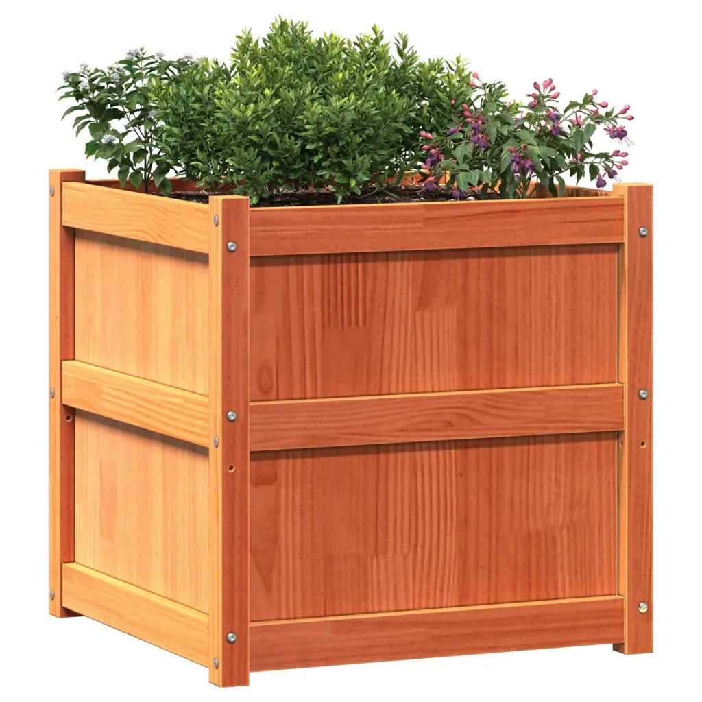 Fioriere da Giardino 2pz Marrone Cera Legno Massello di Pino 837429