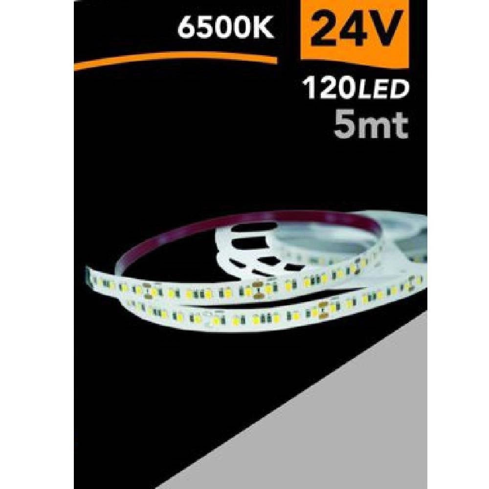 Trade Shop - Striscia Led 2835 Strip 5 Mt 24v 120 Led Smd Luce 3000k 4000k 6500k 2835-24v-5mm -