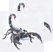 Pacco da 2 Sticker 3D Realistici Scorpione | Simulazione Decalcomania Rettili | Etichetta PVC Autoadesiva per Motocicletta, Auto, Laptop | Simbolo Decorativo per Parete Sticker
