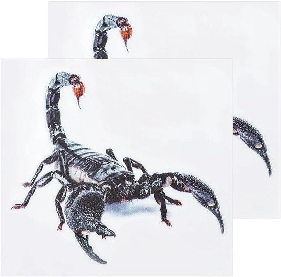 Pacco da 2 Sticker 3D Realistici Scorpione | Simulazione Decalcomania Rettili | Etichetta PVC Autoadesiva per Motocicletta, Auto, Laptop | Simbolo Decorativo per Parete Sticker