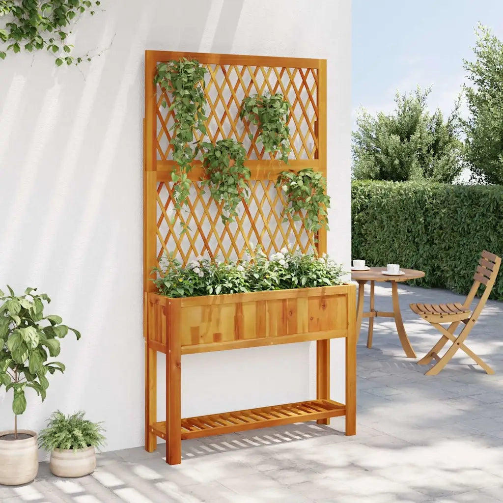 Fioriera con Traliccio-Vaso con Griglia-Fioriera con Supporto per Piante Rampicanti e Ripiano 100x32x185 cm Legno Acacia