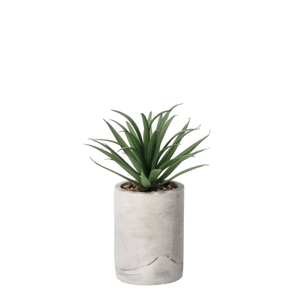 VASO CON PIANTA GRASSA DECORATIVA D.9XH22CM IN 2 C