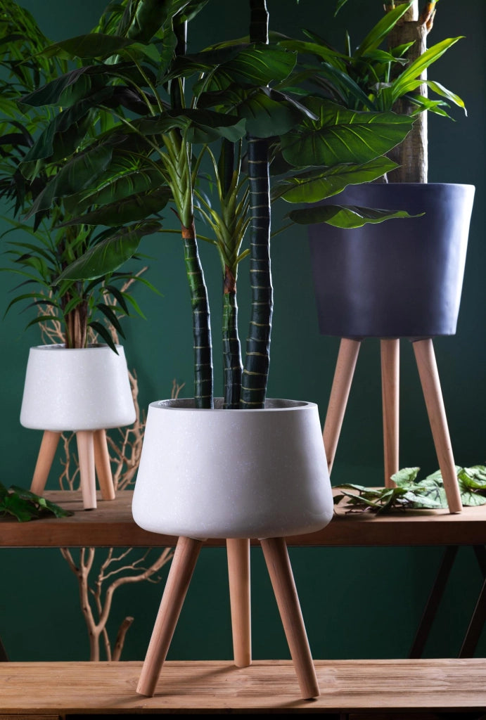 Vaso con Gambe Faggio Misure 31x59 cm