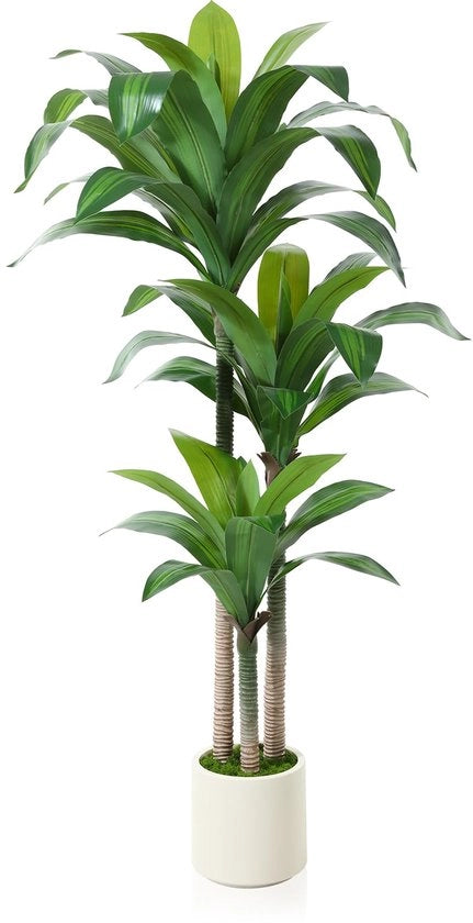 Dracaena Fragans Tropica 150cm, Pianta Artificiale Grande, Pianta di Plastica, Decorazione di Interno e Esterno (1 Pacchetto)