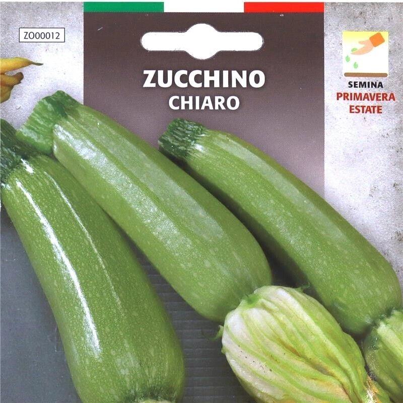 BUSTA SEMENTI ZUCCHINO CHIARO