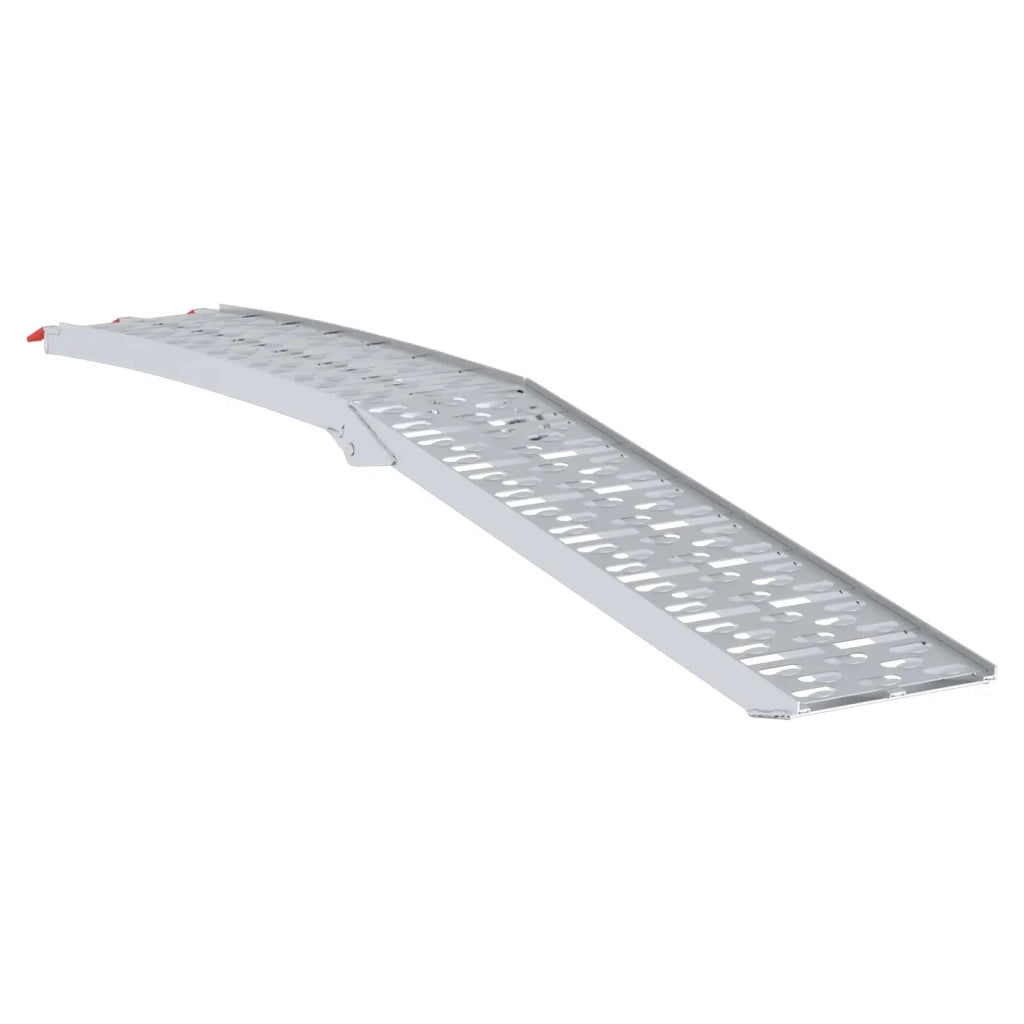 Rampe per Moto Pieghevoli 340 kg per rampa 2 pz Argento CFW3421700