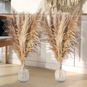 Pampas grasse secche 120 cm - 12 pezzi - bouquet di fiori XXL per vaso da terra - decorazione morbida per matrimonio