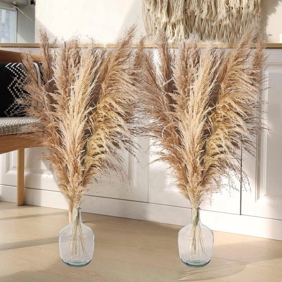 Pampas grasse secche 120 cm - 12 pezzi - bouquet di fiori XXL per vaso da terra - decorazione morbida per matrimonio