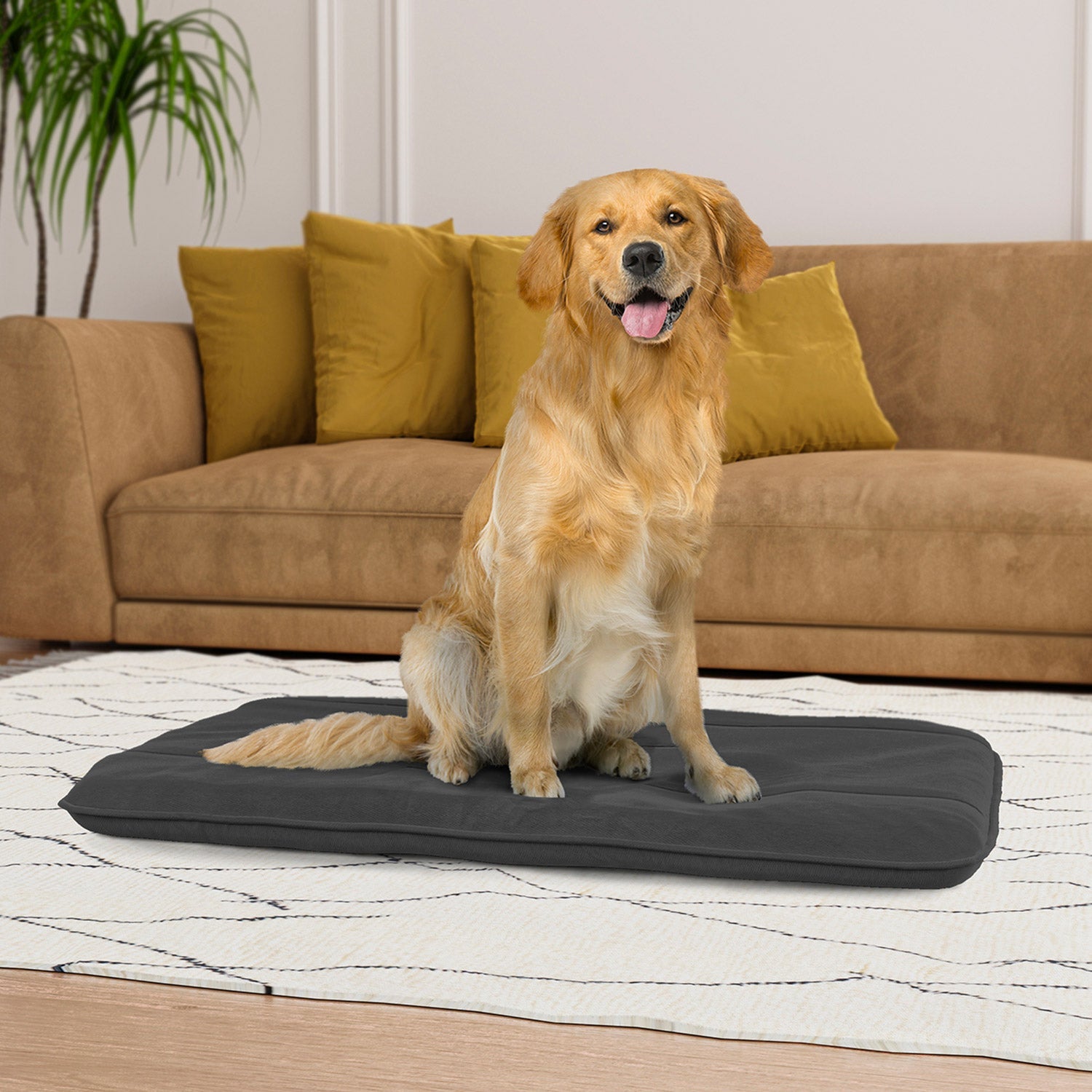 Maxi Cuscino Imbottito e Trapuntato per Cani Gatti in Microfibra Grigio Scuro