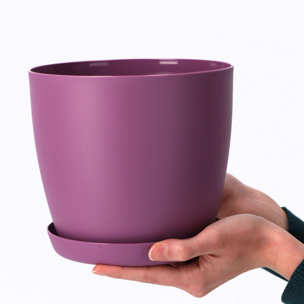 Coprivaso KADAX con sottovaso, colore viola, per soggiorno, 12 cm.