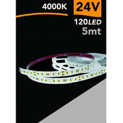 Trade Shop - Striscia Led 2835 Strip 5 Mt 24v 120 Led Smd Luce 3000k 4000k 6500k 2835-24v-5mm - -bianco Naturale      -