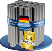 Magnetismo forte a neodym - 20 pezzi - argento - diametro 4x25mm