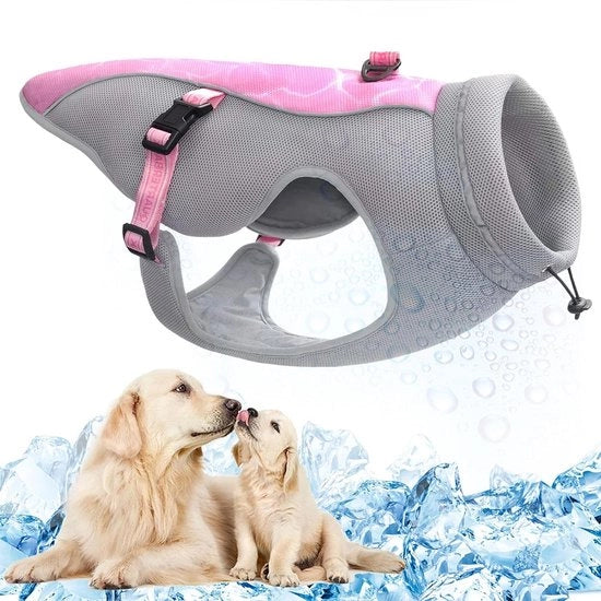 Harnas per cani grandi e medi - cinture regolabili e anello D - riflettente - caccia all'aperto - estate inverno
