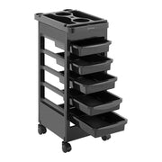 Carrello per parrucchiere (vassoio: 495 x 315 mm 5 cassetti portata: 10 kg) 14_0007832