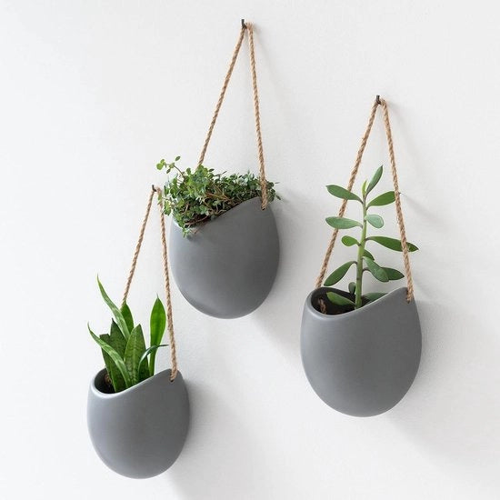 Cestellati per piante -Ellie- | Piante da parete in ceramica appese 3 pezzi | Decorazione per parete per interni balcone e giardino | Grigio (opaco)