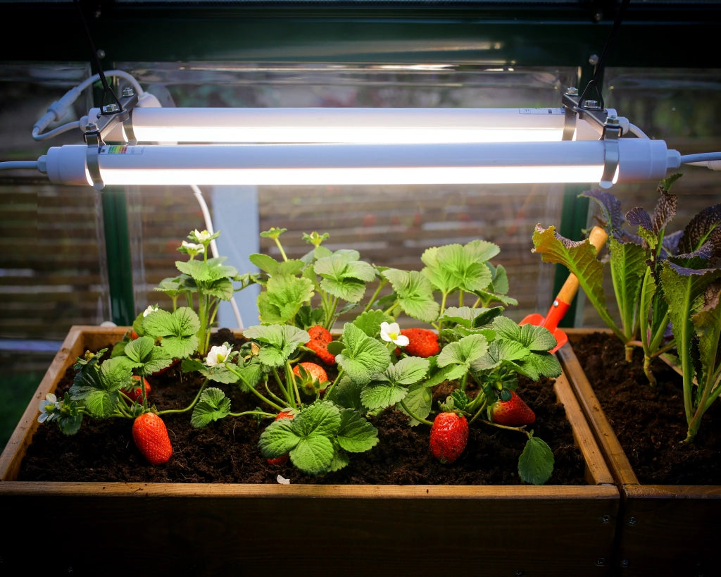 Lampada LED per la Crescita delle Piante