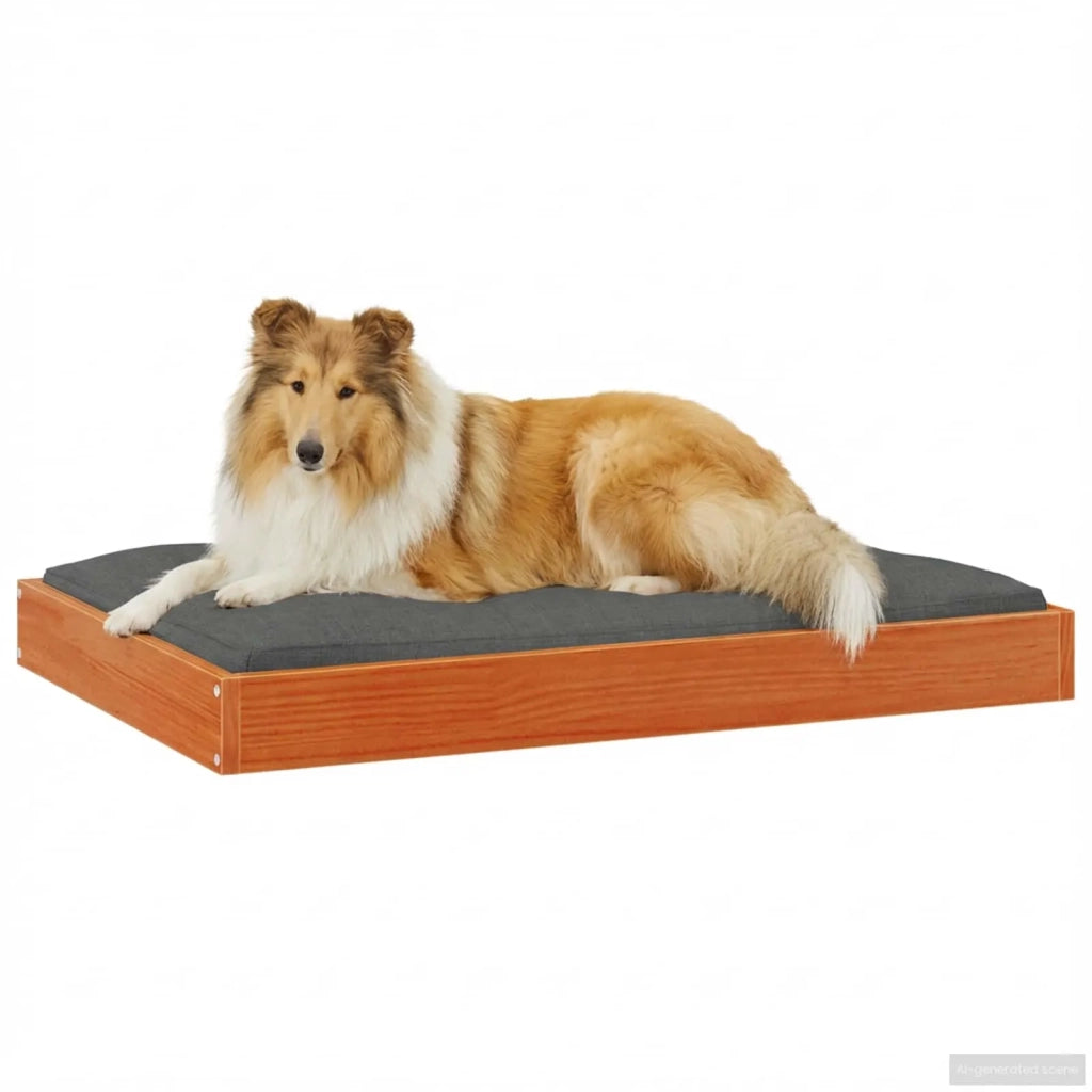 Letto per Cani Marrone cerato 92 x 64 x 9 cm 867646