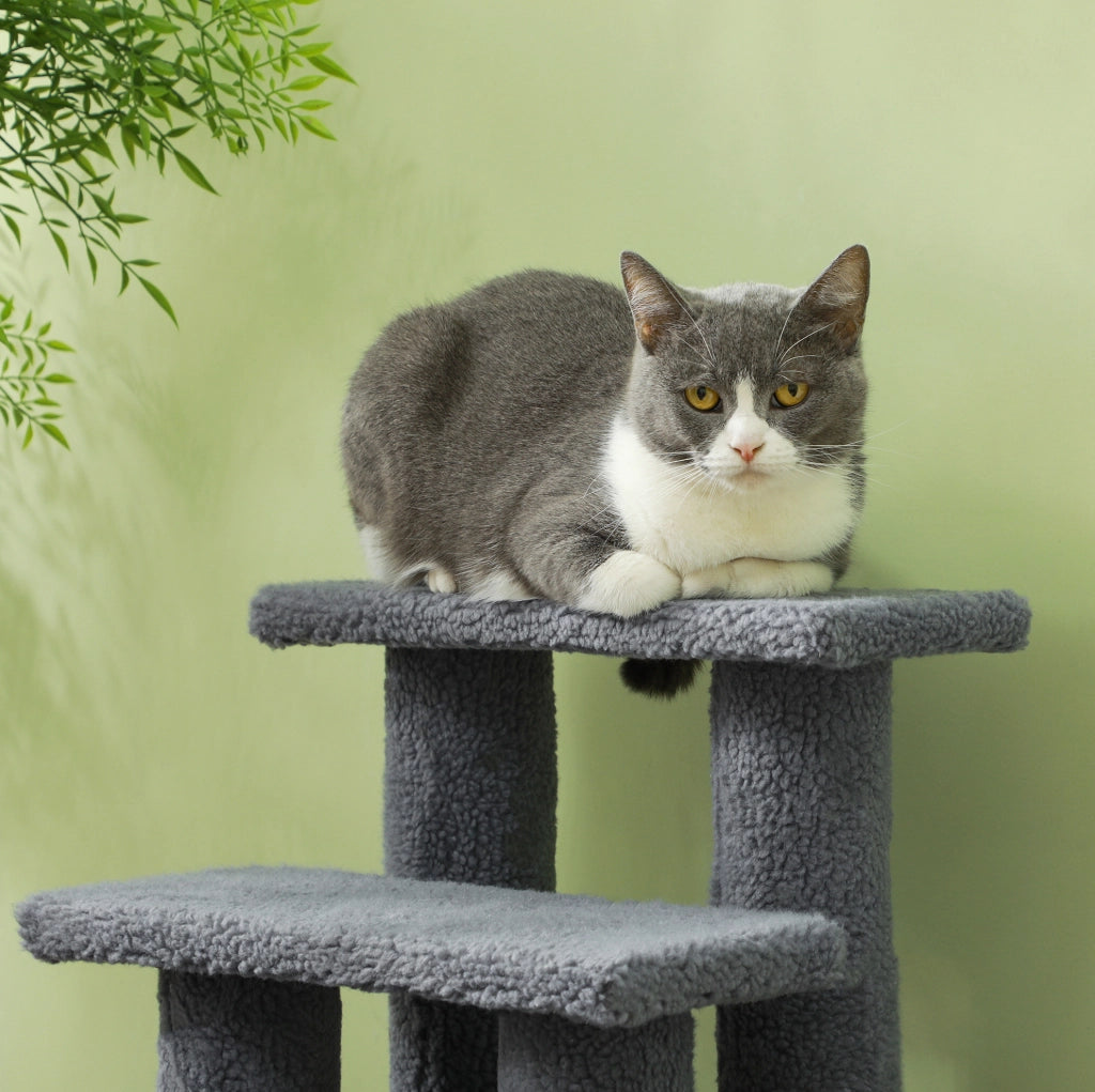 Scaletta tiragraffi 4 gradini grigia per cani e gatti