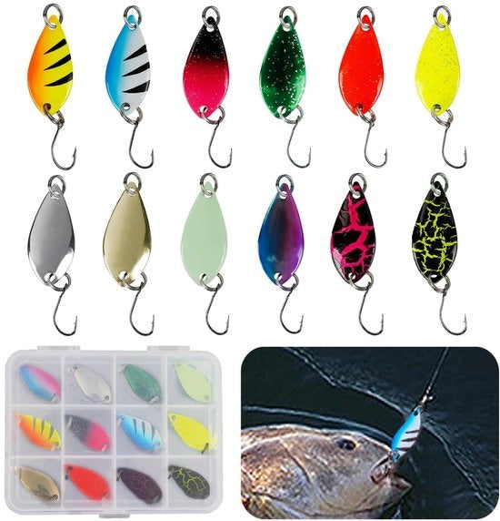 Set di pesca per acqua dolce 12 pezzi - Kit di tubi per pesca - Pescare - Materiali di alta qualità - Scatola di conservazione - Design aerodinamico