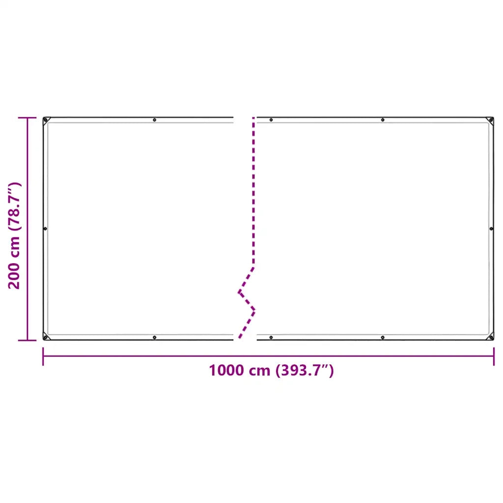 Telone Trasparente con Occhielli 2x10 m in Polietilene 4018509