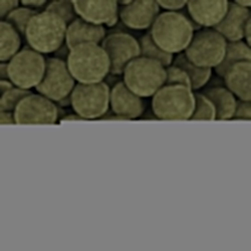 Tropical Hi-Algae Discs XXL 250ml/125gr - Pastiglie Vegetali per Pesci da Fondo di Grandi Dimensioni
