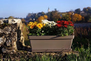 Piastello per piante Taupe - Giardino poetico Romeo 

Modello: Romeo
Codice: 12345
Dimensioni: 45 x 30 cm
Materiali: Ceramica
Colore: Taupe