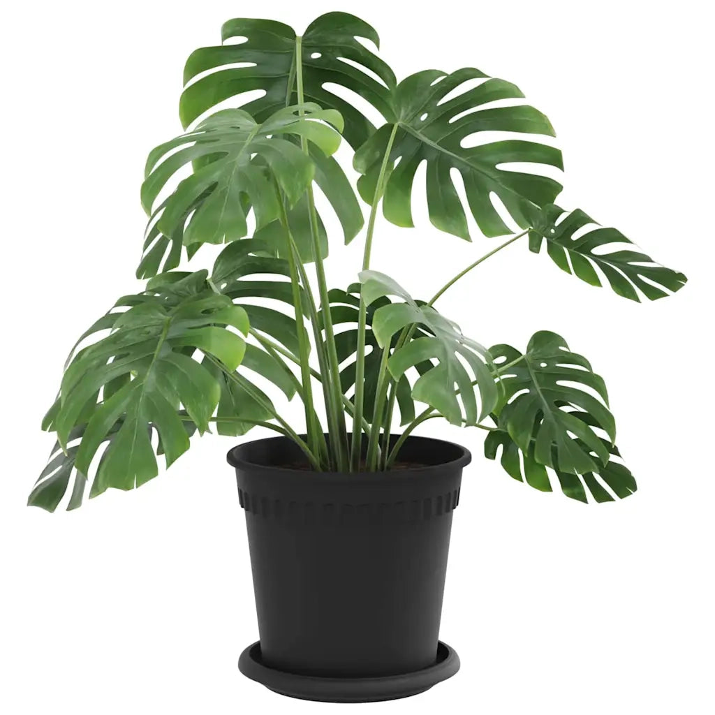 Fioriere | Cassetta per fiori | Vasi per Piante 6 pz Nero ? 17 x 14 cm Plastica