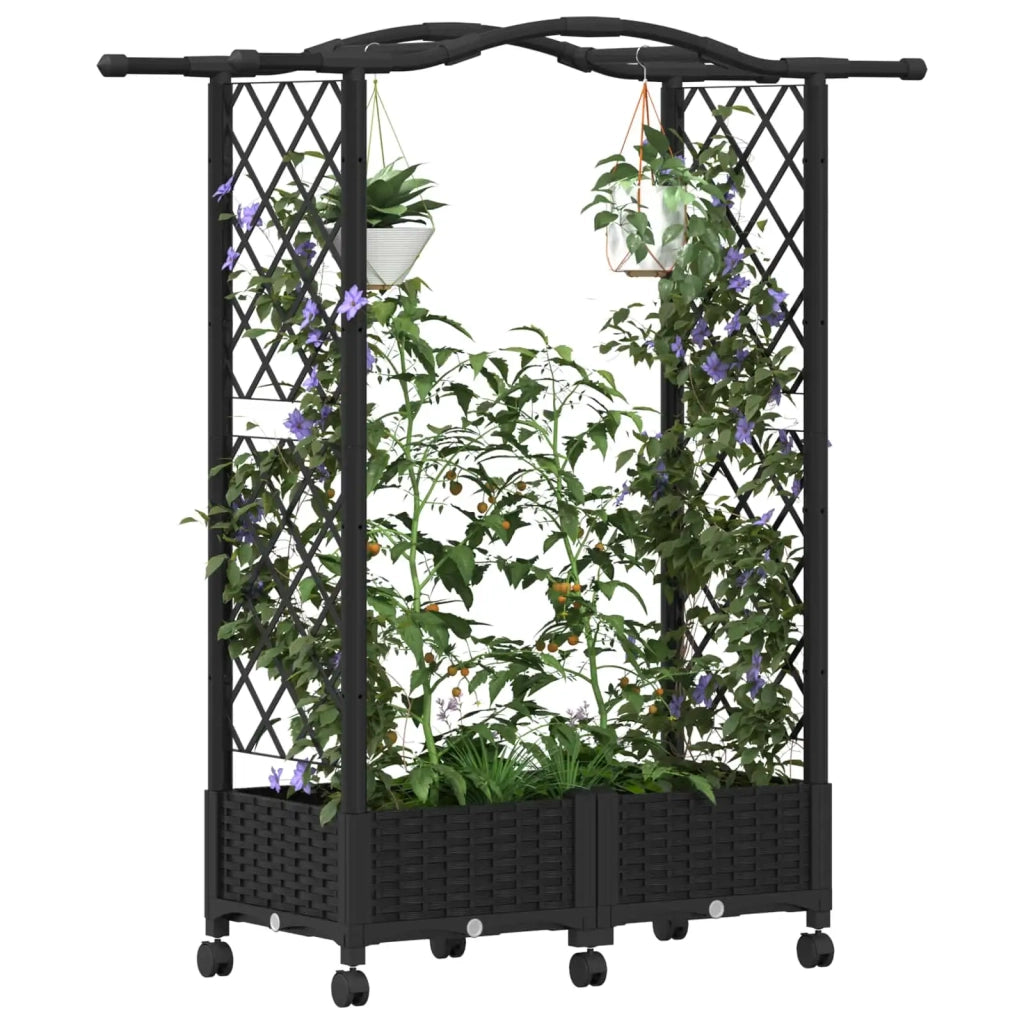 Letto Rialzato con Griglia e Tetto Nero 124 x 40 x 129 cm PP 3423010