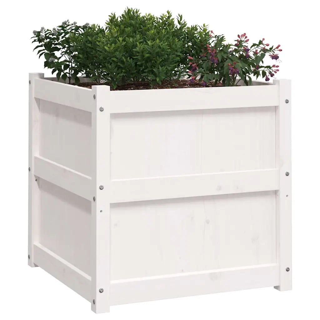 Fioriera da Giardino Bianca 60x60x60 cm Legno Massello di Pino 837426