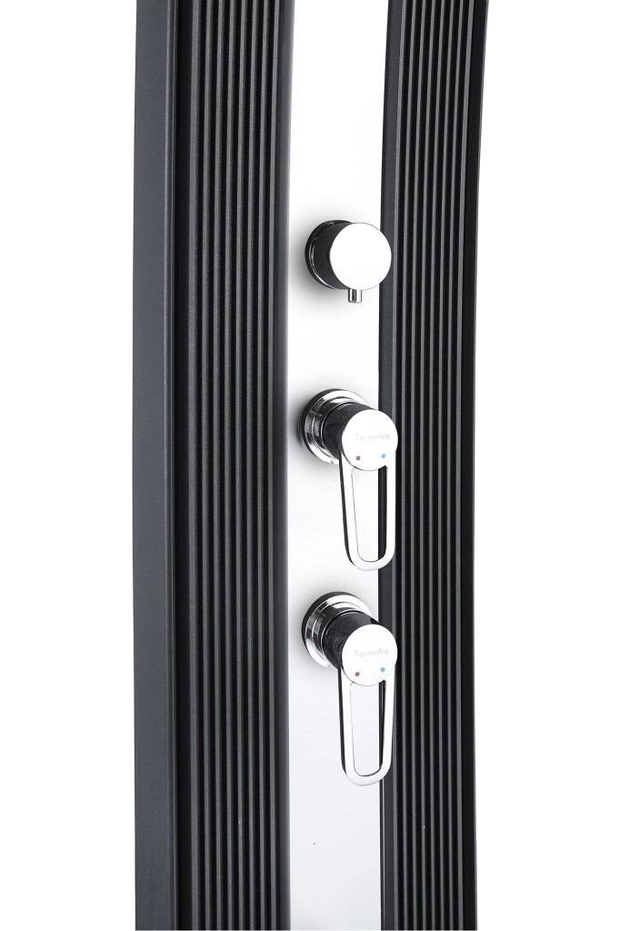 Doccia Solare Ibrida da Giardino 40L Miscelatore e Doccetta Lavapiedi Antracite/Inox