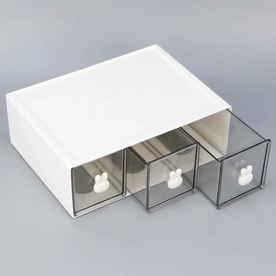 Scatola di archiviazione compatta - multifunzionale e pratica - 1 pezzo - plastica - 23x17x8 cm