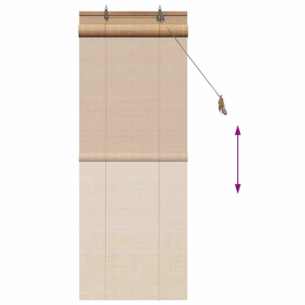Tenda a rullo Marrone 40 x 160 cm Bambù 42039738