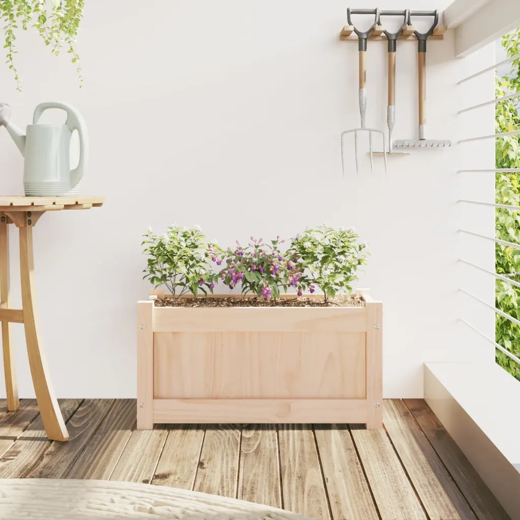 Fioriera | Cassetta per fiori | Vaso da Giardino 60x31x31 cm in Legno Massello di Pino