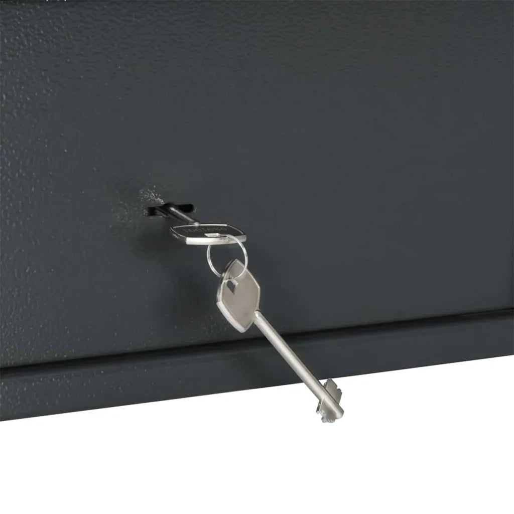 Cassaforte con blocco Grigio scuro 31 x 20 x 20 cm Acciaio CFW3827603